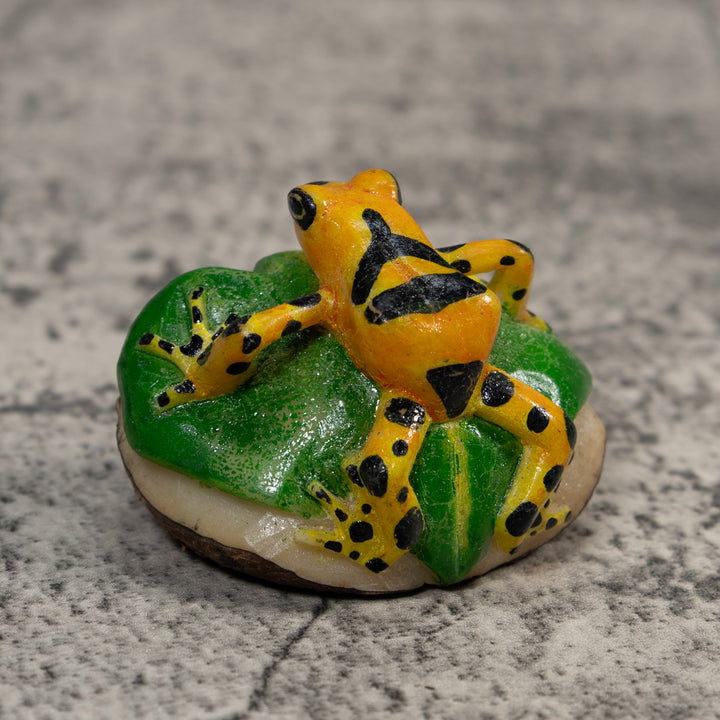 Black Gold And Green Poison Dart Frog Tagua Carving