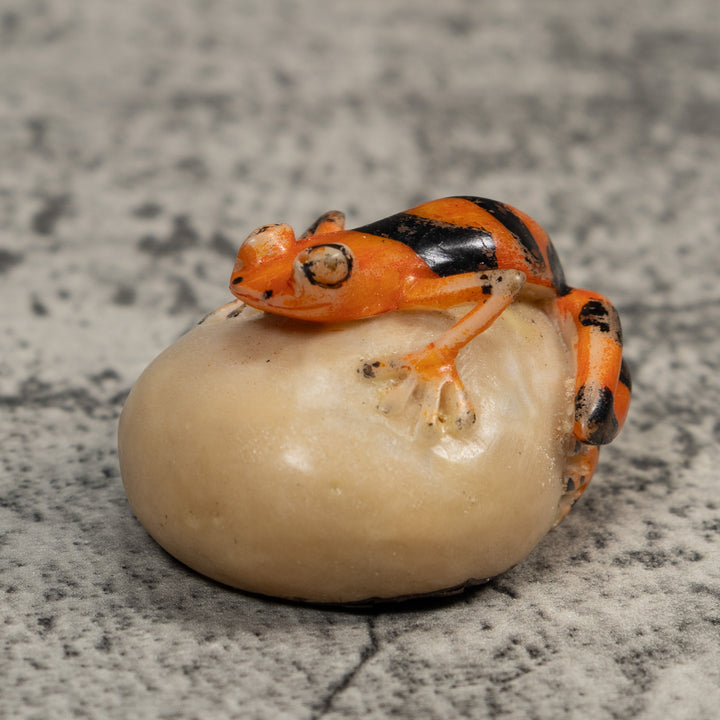 Vintage Orange And Black Poison Dart Frog Tagua Carving