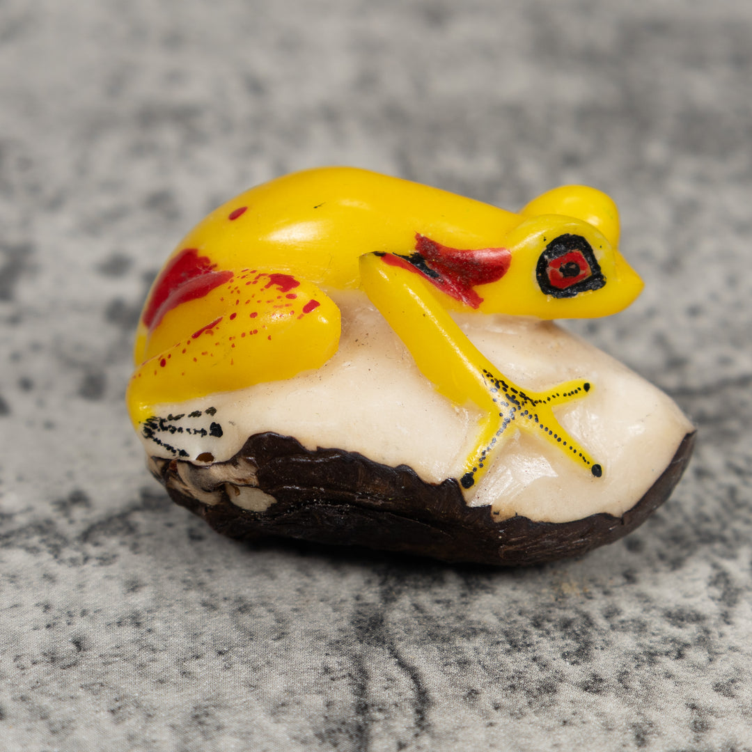 Yellow And Red Poison Dart Frog Tagua Carving