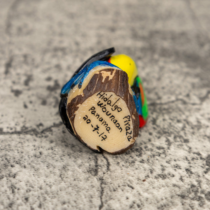 Toucan Parrot Bird Tagua Carving