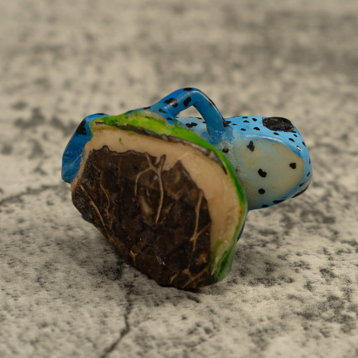 Poison Dart Blue Frog Tagua Carving
