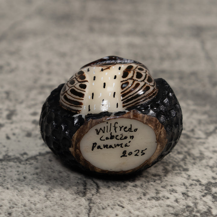 Full Nut Black Orange And White Owl Tagua Carving