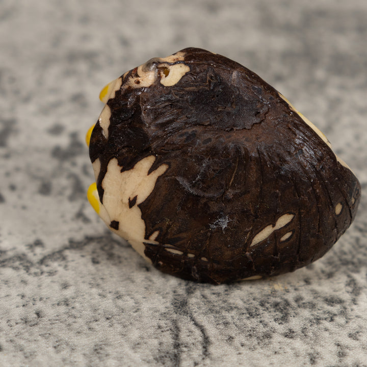 Yellow And Red Poison Dart Frog Tagua Carving