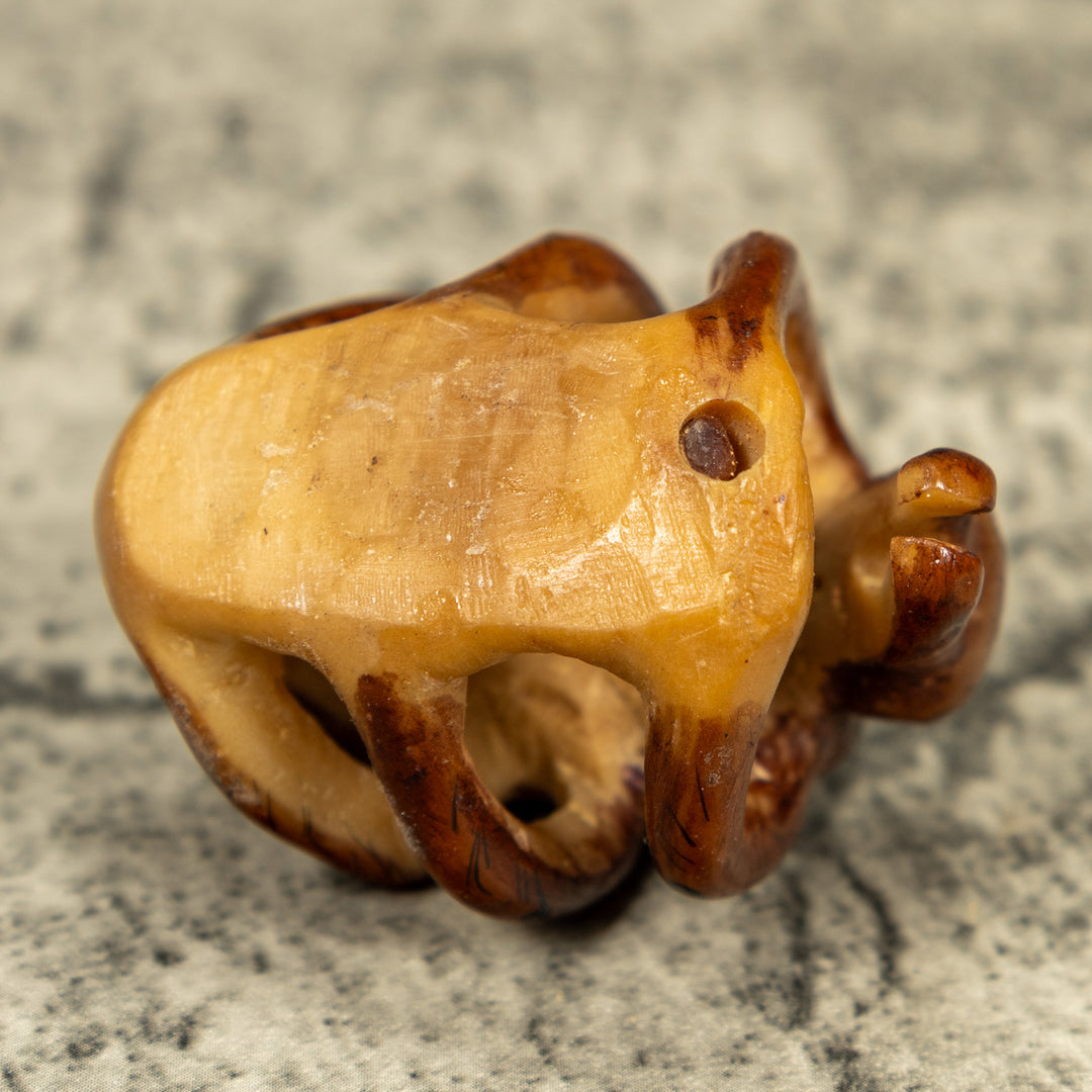 Vintage Brown Ant Insect Tagua Carving