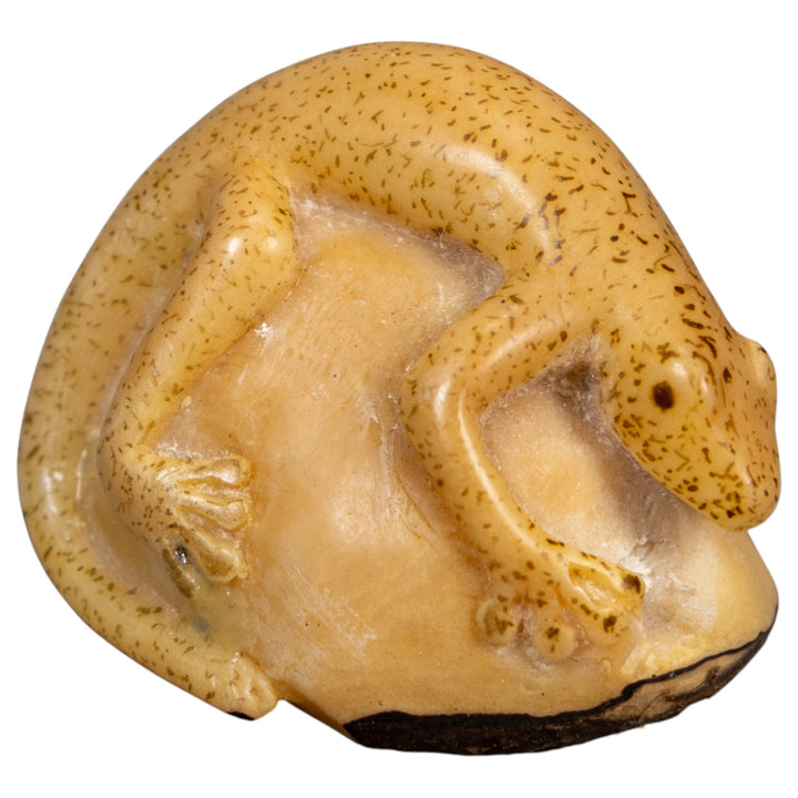 Vintage Dyed Gecko Lizard Tagua Carving