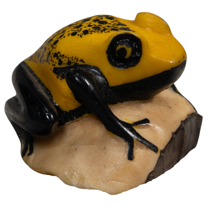Vintage Black And Gold Poison Dart Frog Tagua Carving