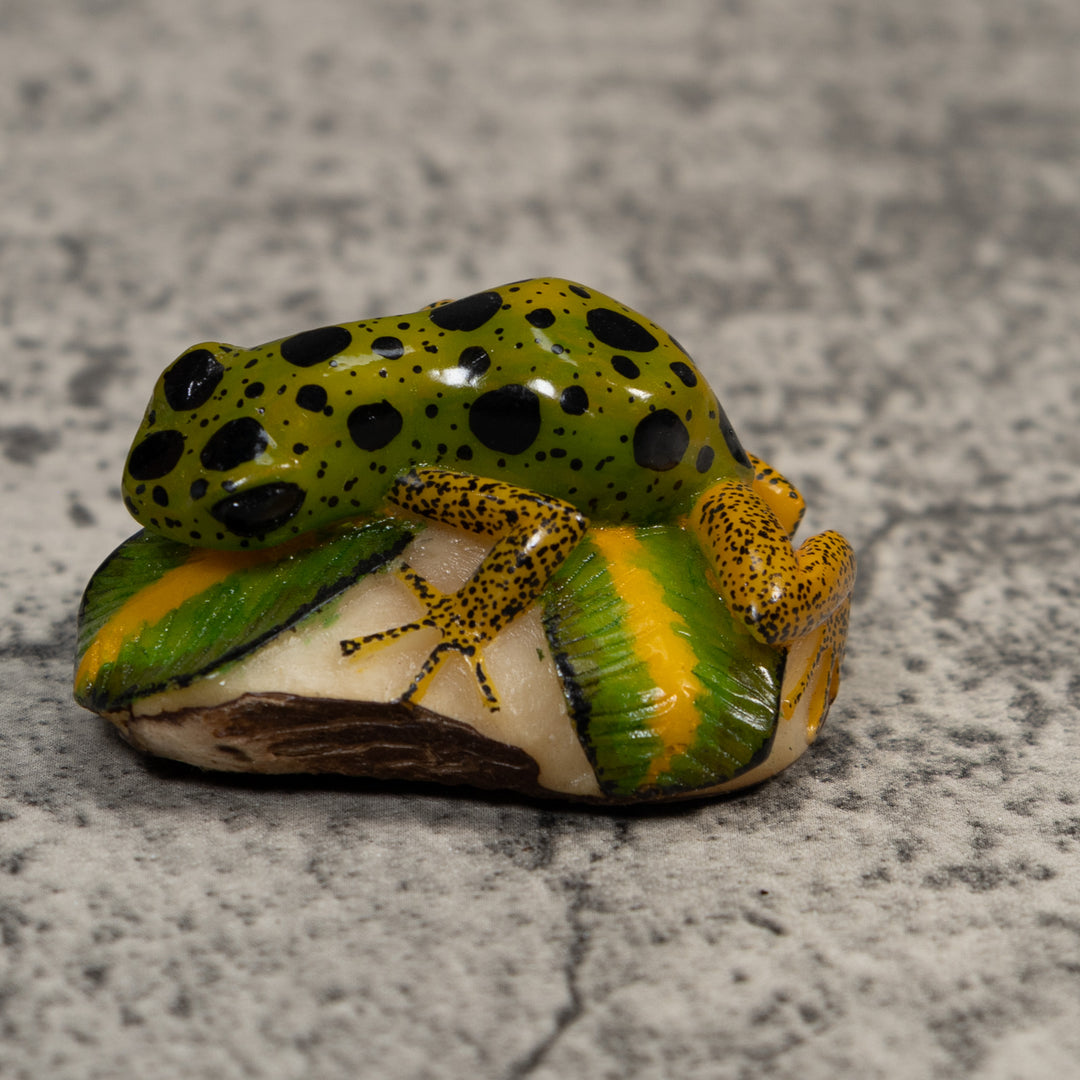Green Gold And Black Poison Dart Frog Tagua Carving