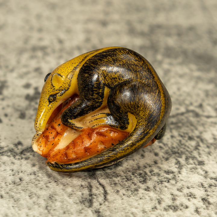 Anteater On Termit Nest Tagua Carving