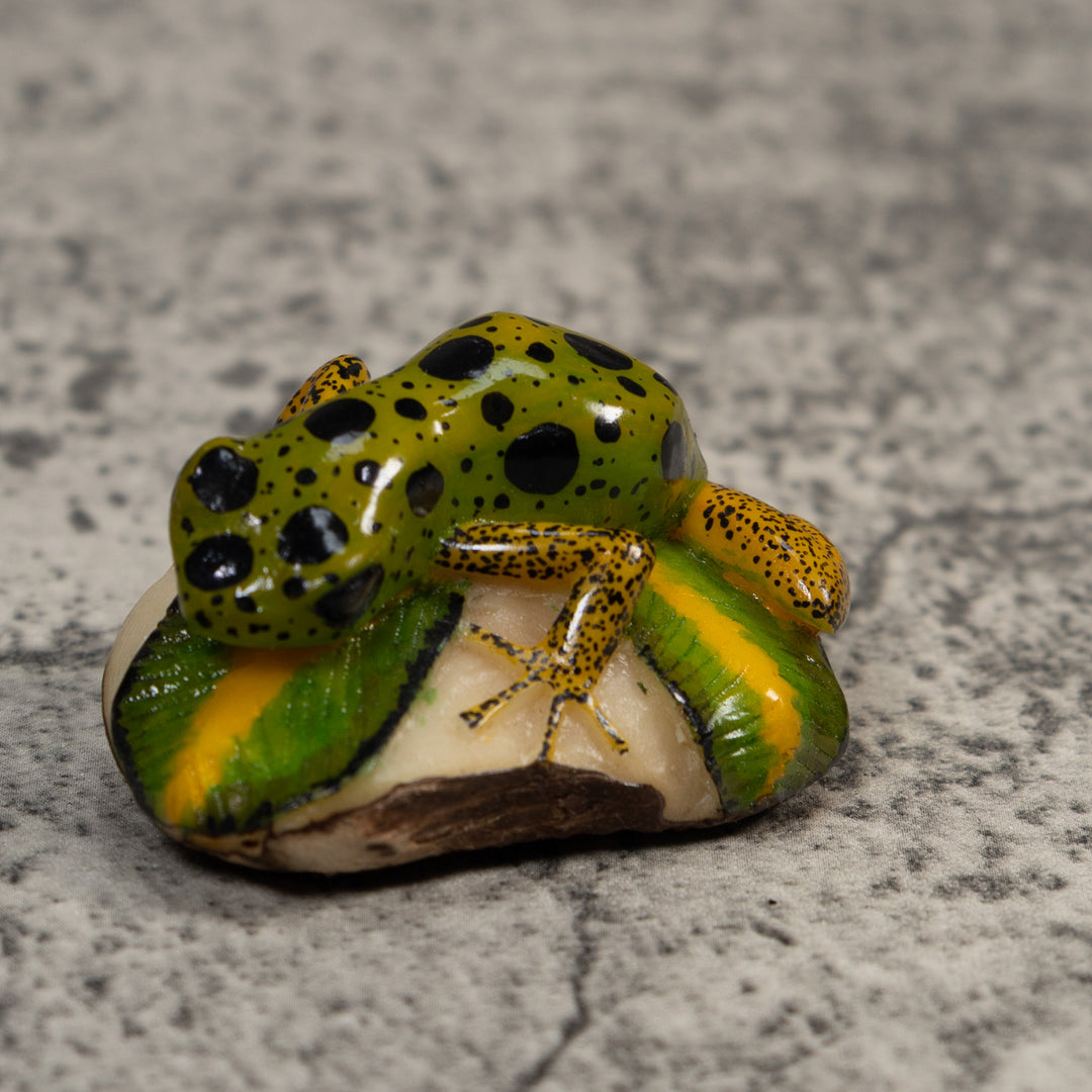 Green Gold And Black Poison Dart Frog Tagua Carving