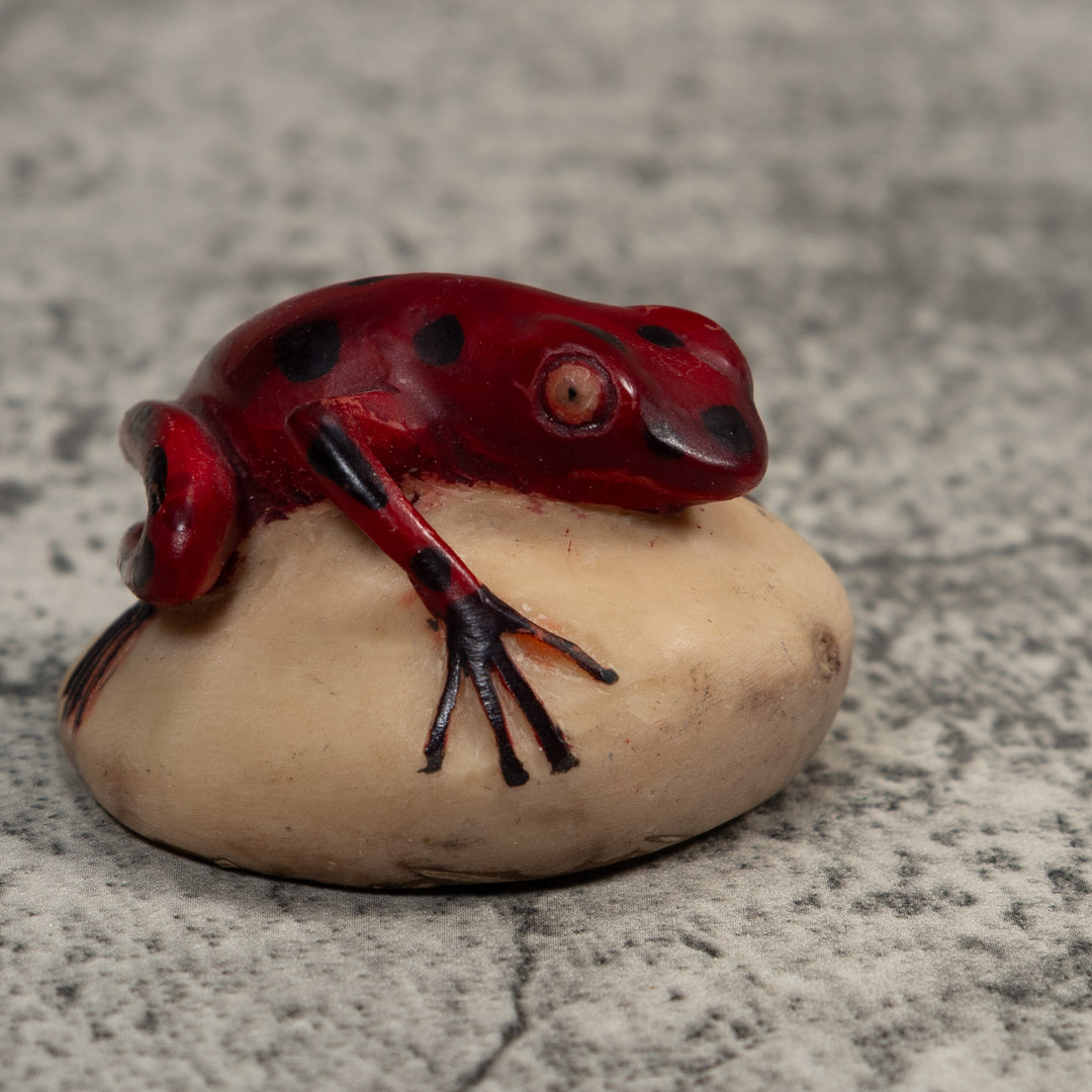 Vintage Red And Black Poison Dart Frog Tagua Carving