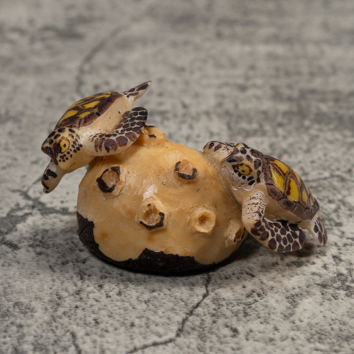 Double Sea Turtle Tagua Carving
