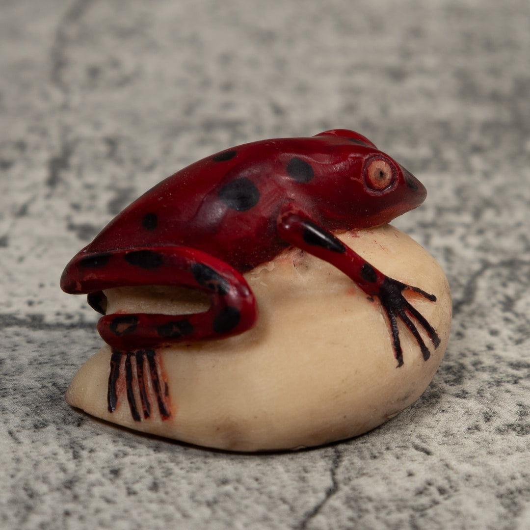 Vintage Red And Black Poison Dart Frog Tagua Carving
