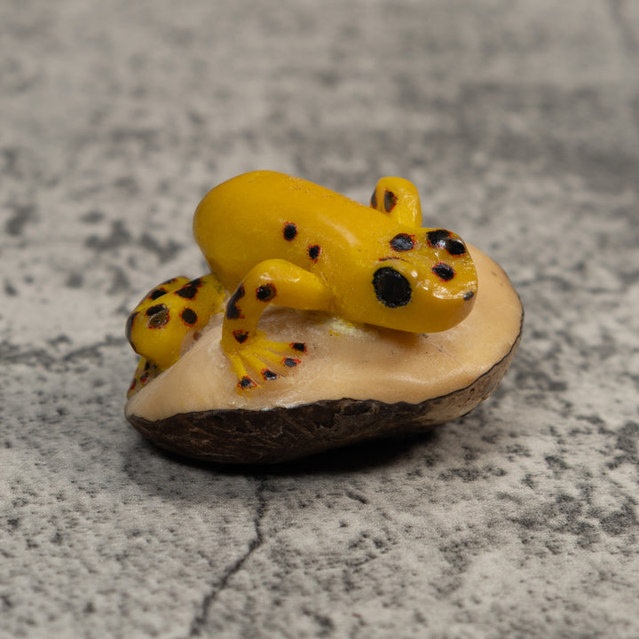 Vintage Black And Gold Poison Dart Frog Tagua Carving