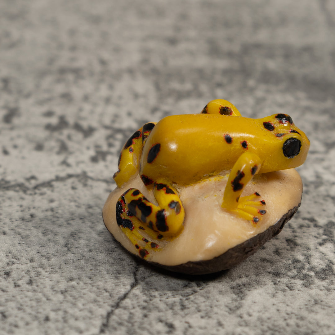 Vintage Black And Gold Poison Dart Frog Tagua Carving