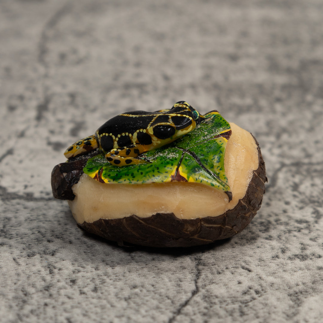 Black And Yellow Poison Dart Frog Tagua Carving