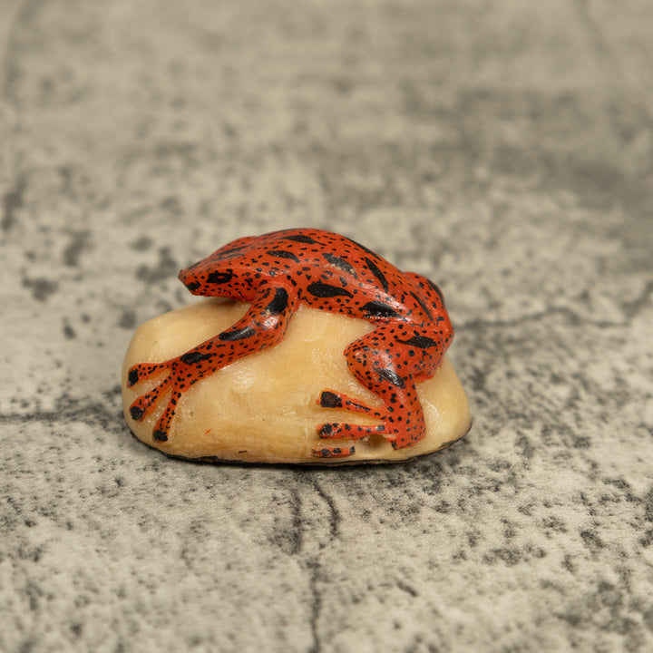 Black And Orange Poison Dart Frog Tagua Carving