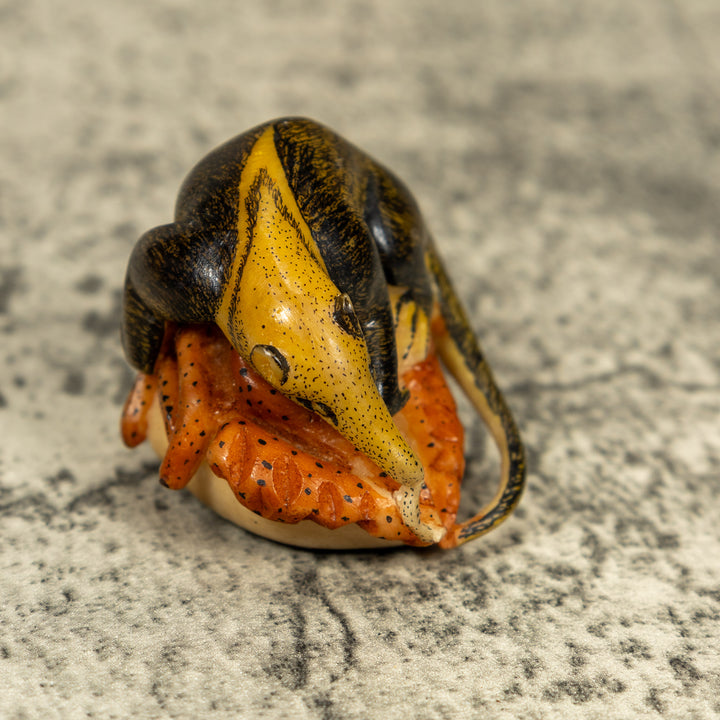 Anteater On Termit Nest Tagua Carving