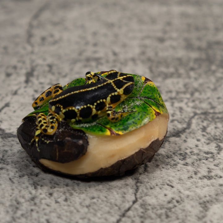 Black And Yellow Poison Dart Frog Tagua Carving