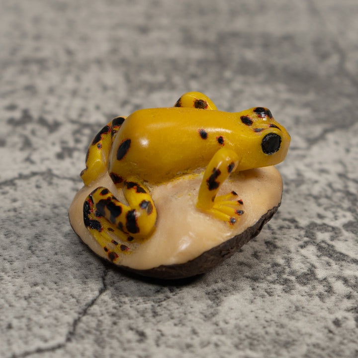 Vintage Black And Gold Poison Dart Frog Tagua Carving