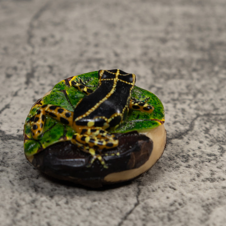 Black And Yellow Poison Dart Frog Tagua Carving