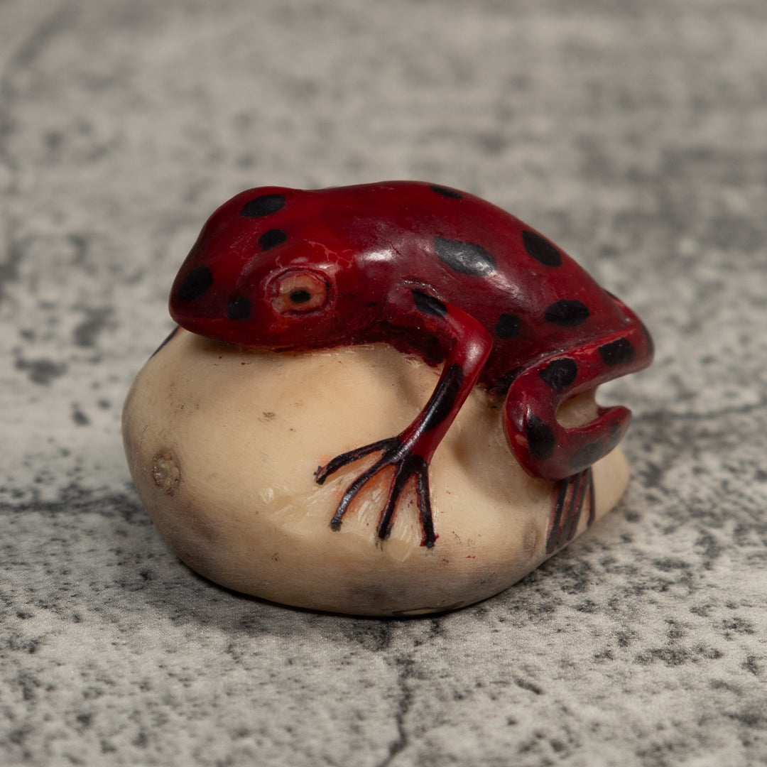 Vintage Red And Black Poison Dart Frog Tagua Carving