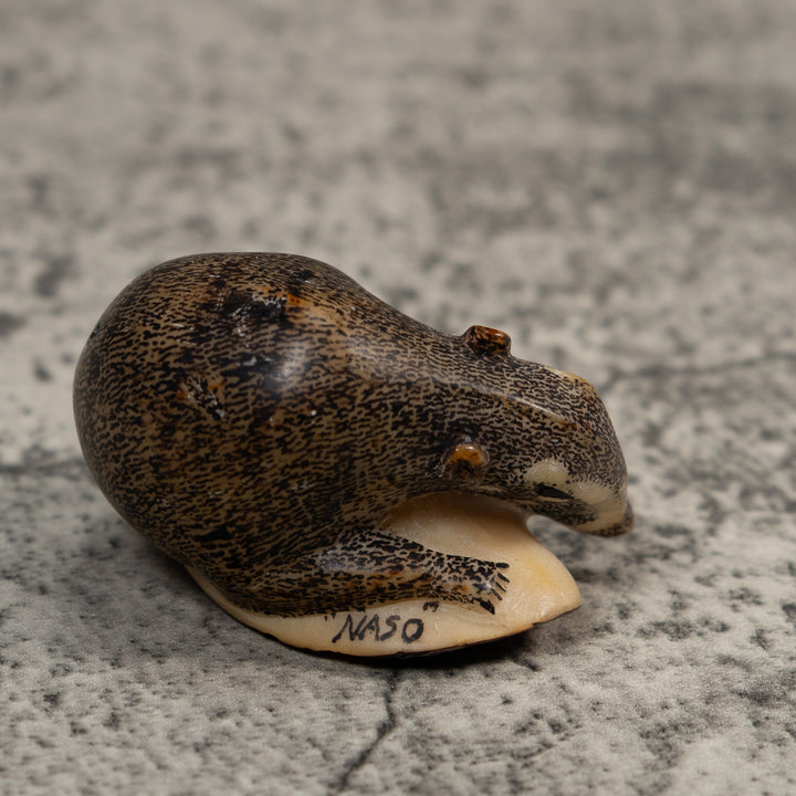Vintage Black And White Coatimundi Tagua Carving