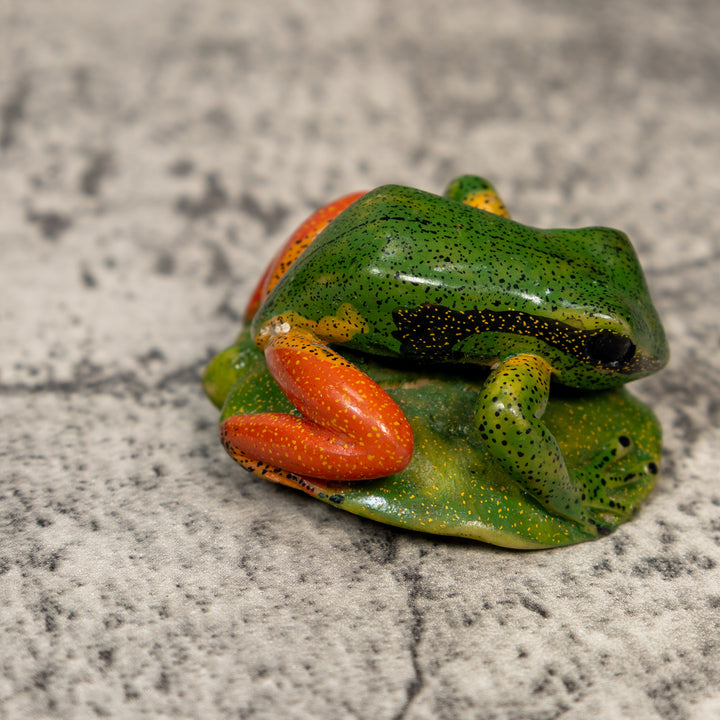 Orange Black And Green Poison Dart Frog Tagua Carving