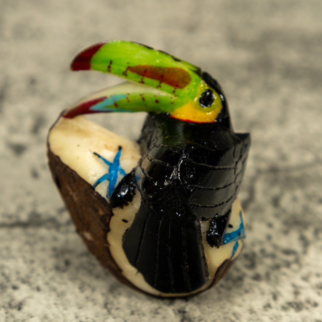 Toucan Parrot Bird Tagua Carving