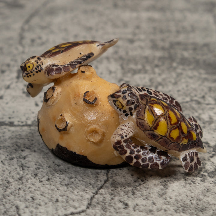 Double Sea Turtle Tagua Carving