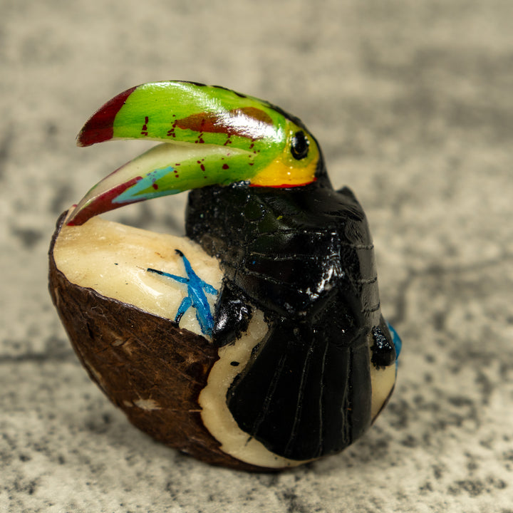 Toucan Parrot Bird Tagua Carving