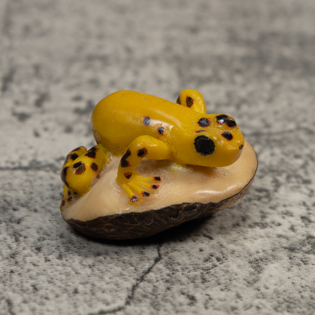 Vintage Black And Gold Poison Dart Frog Tagua Carving