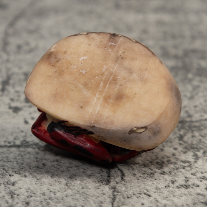 Vintage Red And Black Poison Dart Frog Tagua Carving