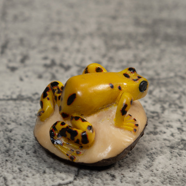 Vintage Black And Gold Poison Dart Frog Tagua Carving