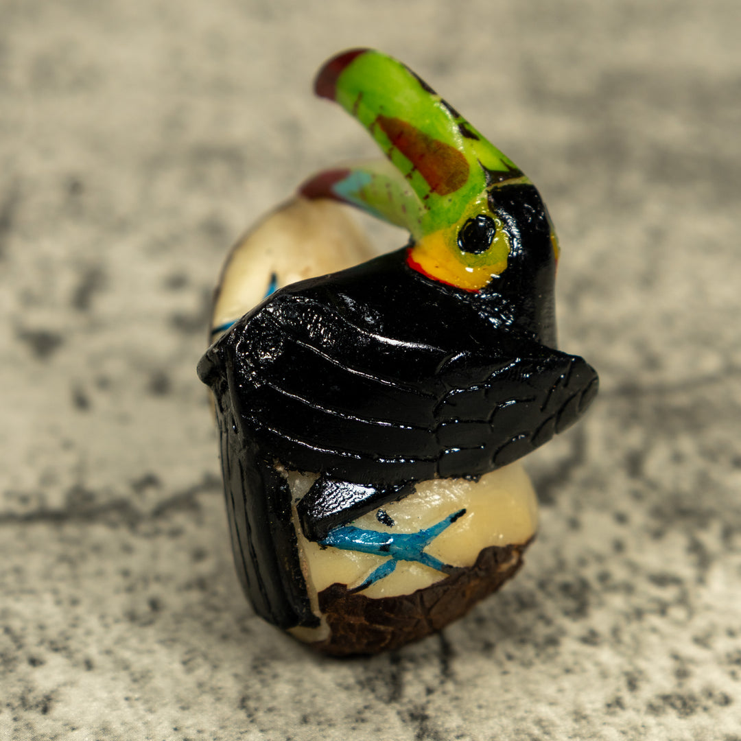 Toucan Parrot Bird Tagua Carving