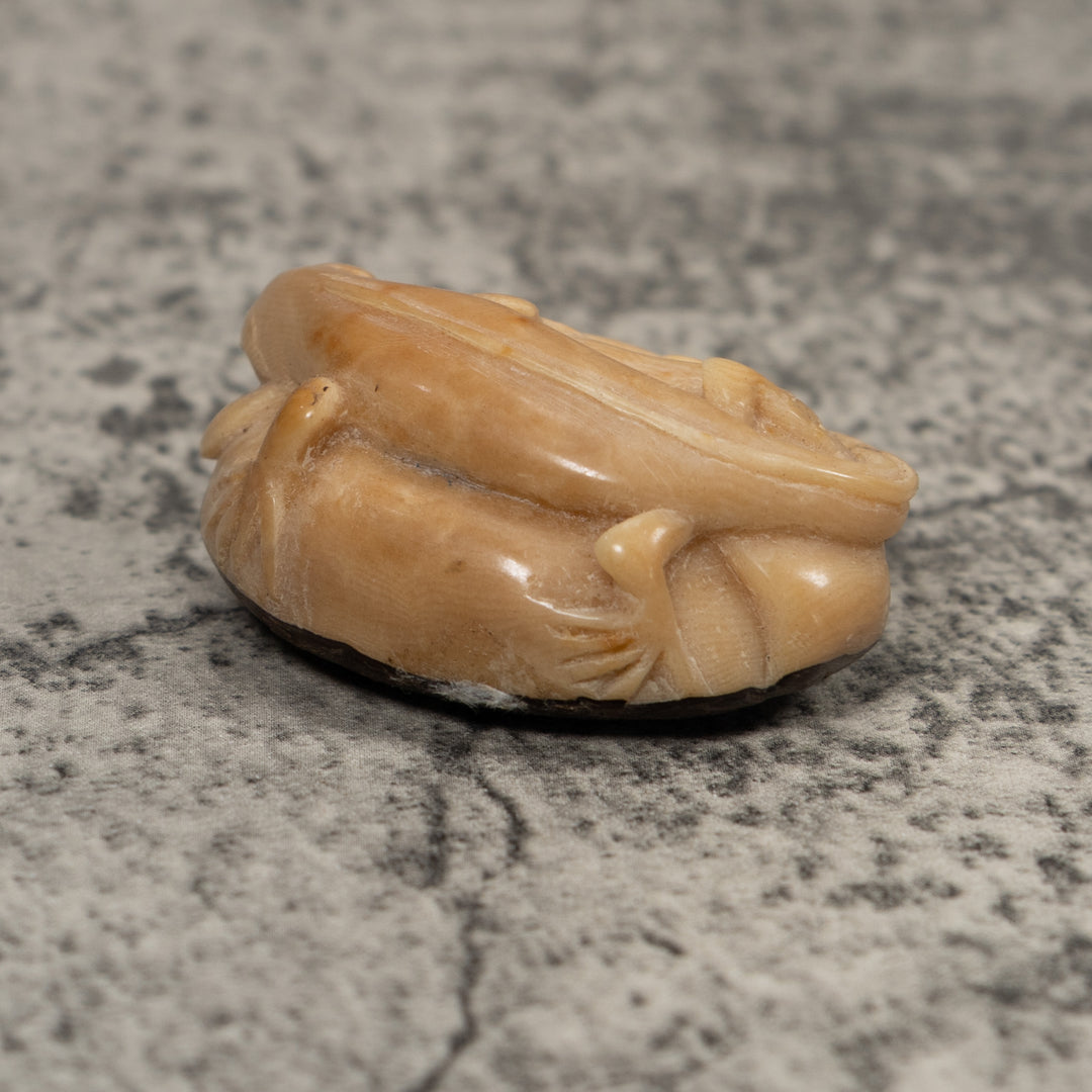 Vintage Iguana And Frog Tagua Carving