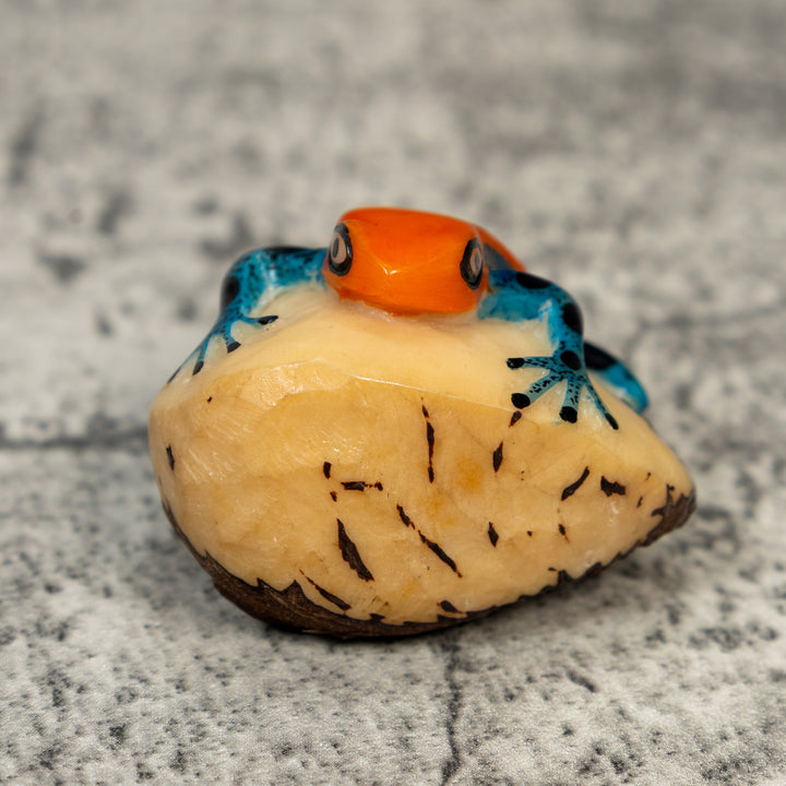 Orange And Blue Poison Dart Frog Tagua Carving