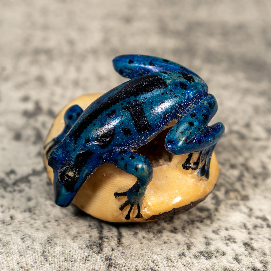 Blue And Black Poison Dart Frog Tagua Carving