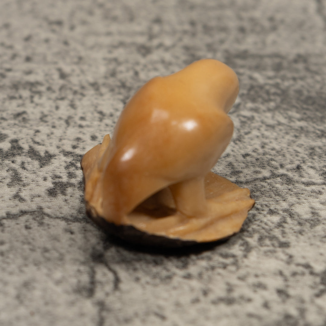 Vintage White Parrot Bird Tagua Carving