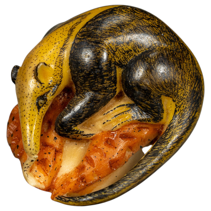 Anteater On Termit Nest Tagua Carving