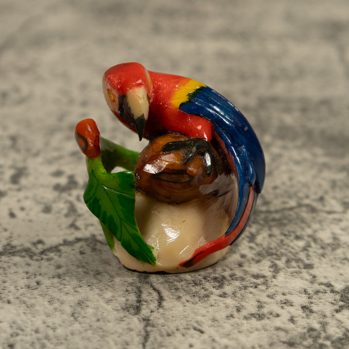Macaw Parrot Bird Tagua Carving