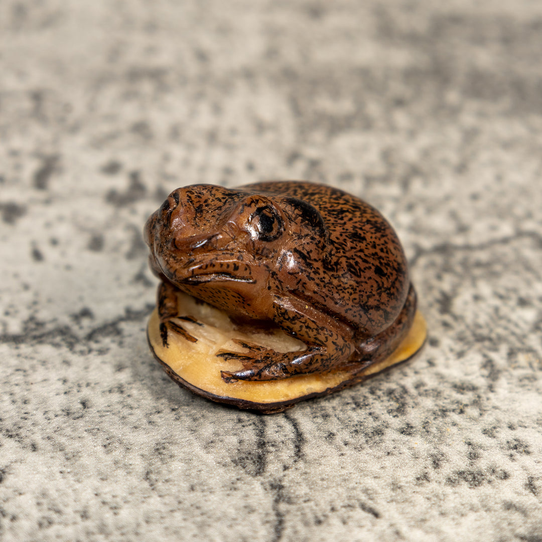 Brown Toad Frog Tagua Carving