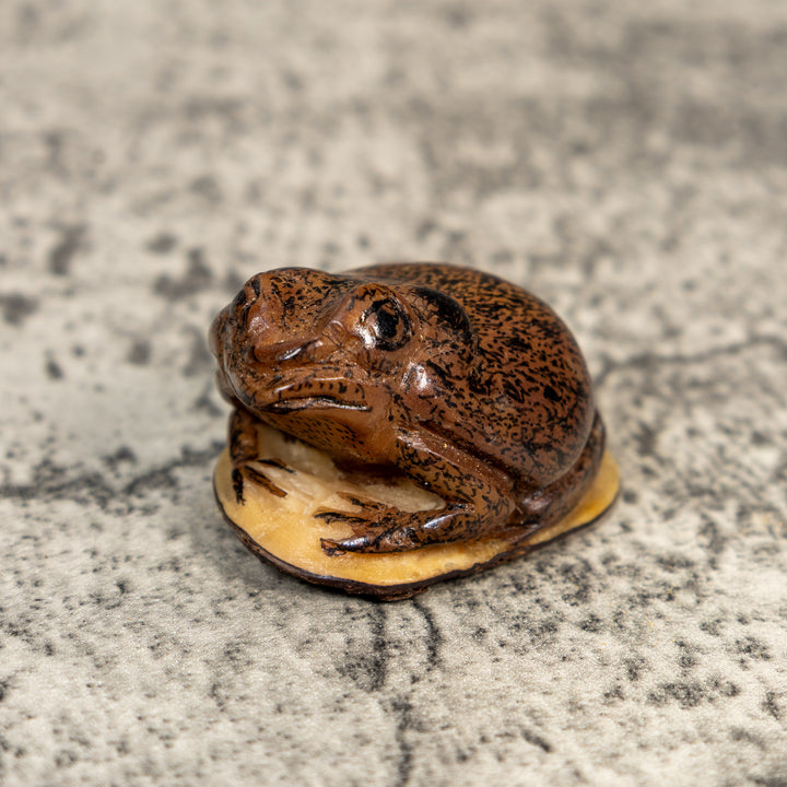 Brown Toad Frog Tagua Carving