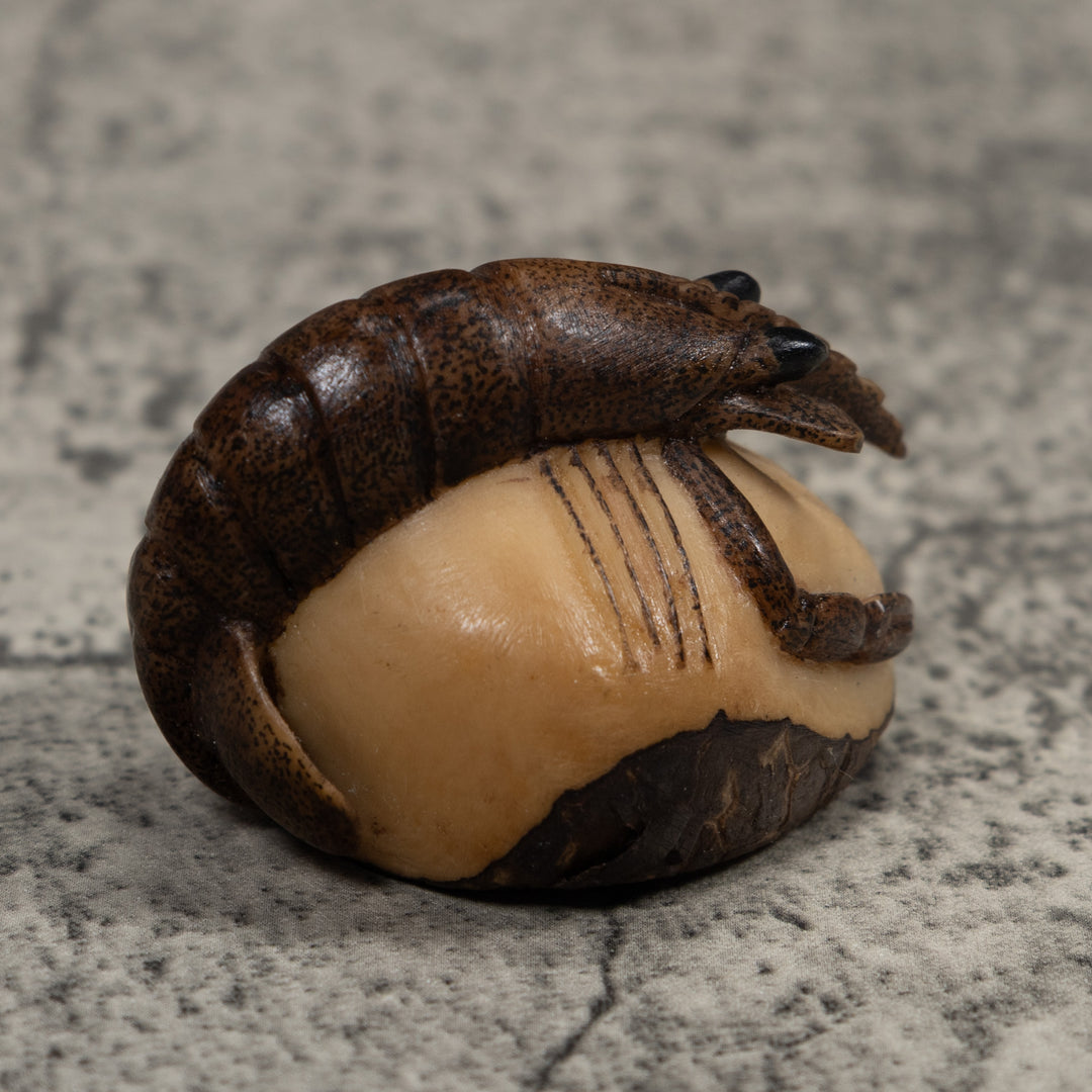 Vintage Shrimp Tagua Carving