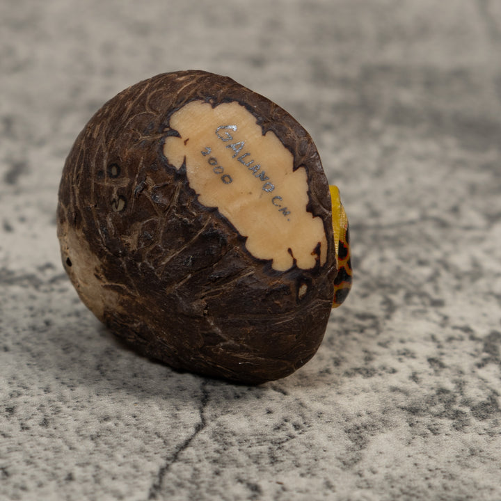 Vintage Black And Gold Poison Dart Frog Tagua Carving