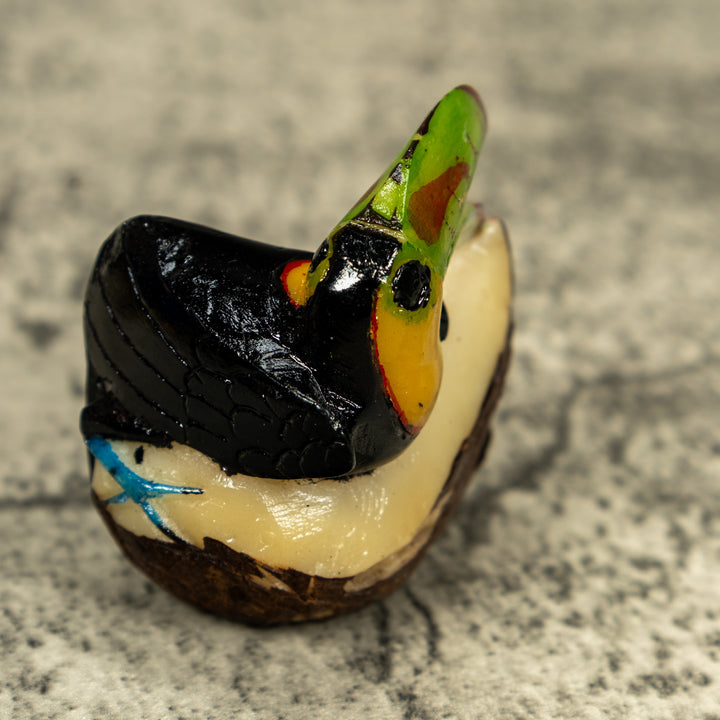 Toucan Parrot Bird Tagua Carving