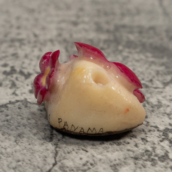 Double Purple Flower Petals Tagua Carving