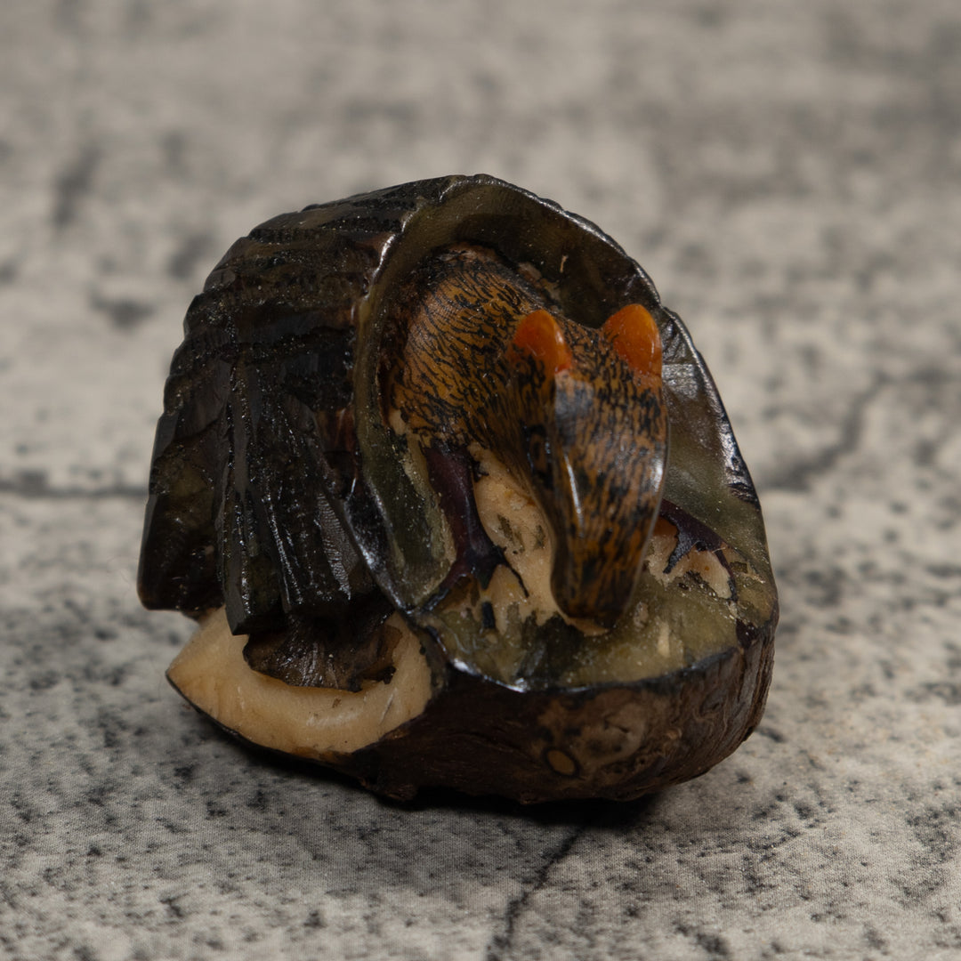 Neque Agouti In Log Tagua Carving