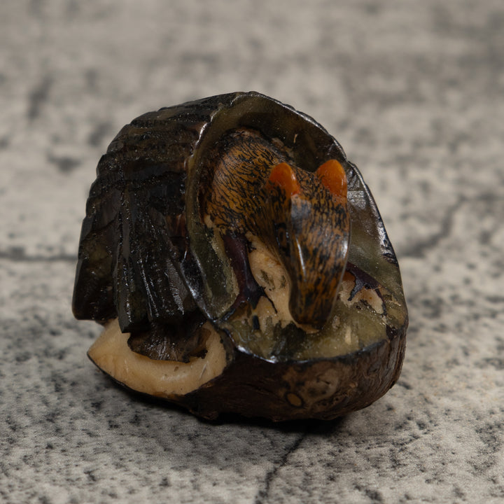 Neque Agouti In Log Tagua Carving