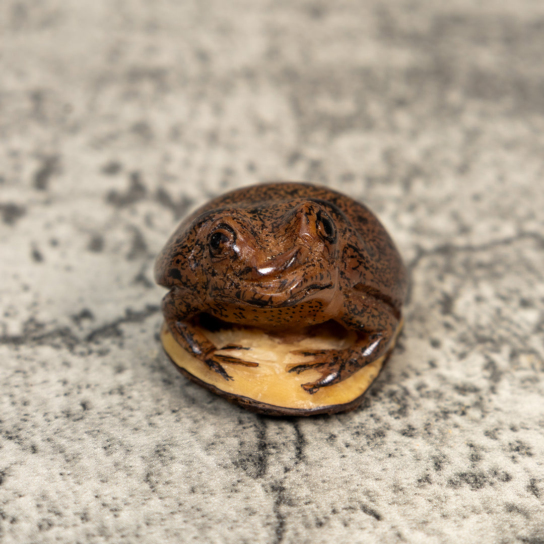 Brown Toad Frog Tagua Carving