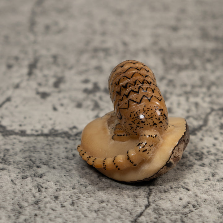 Vintage Armadillo Tagua Carving